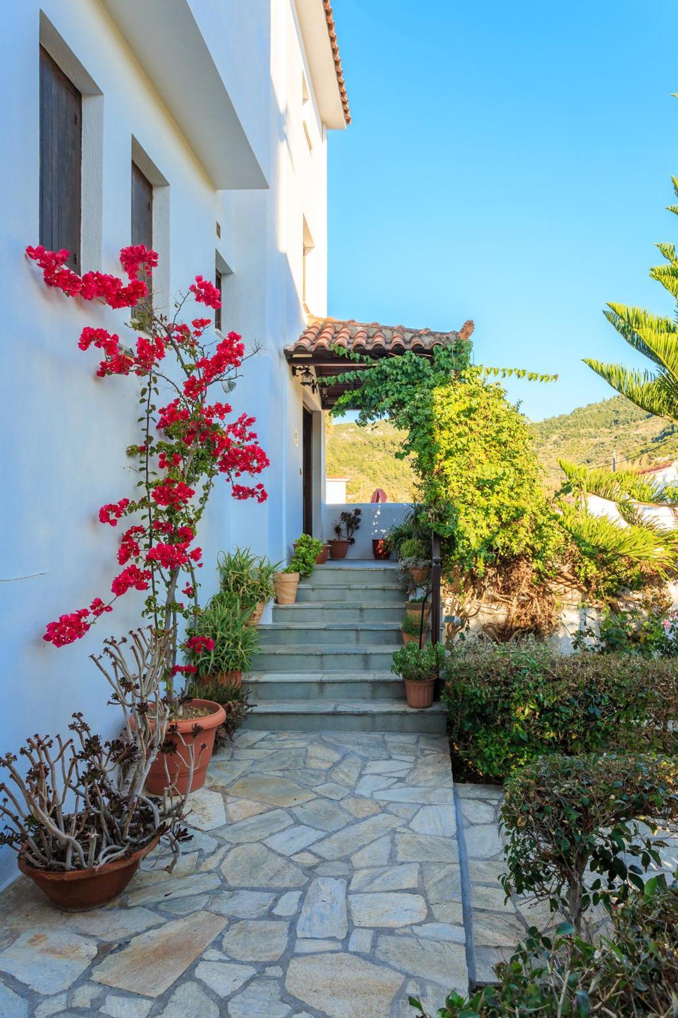 Nikolaos Studios Apartments スコペロス エクステリア 写真