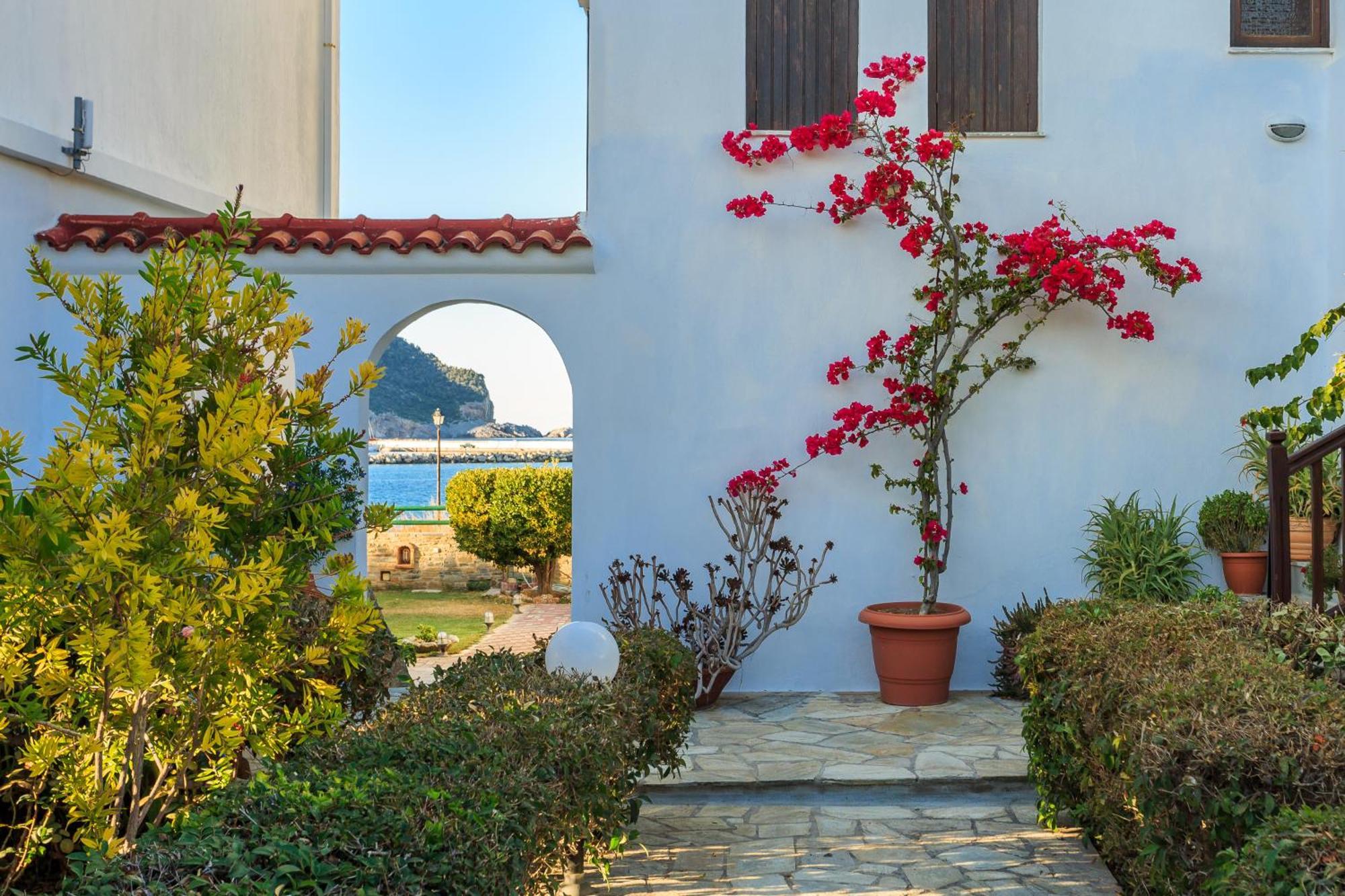 Nikolaos Studios Apartments スコペロス エクステリア 写真