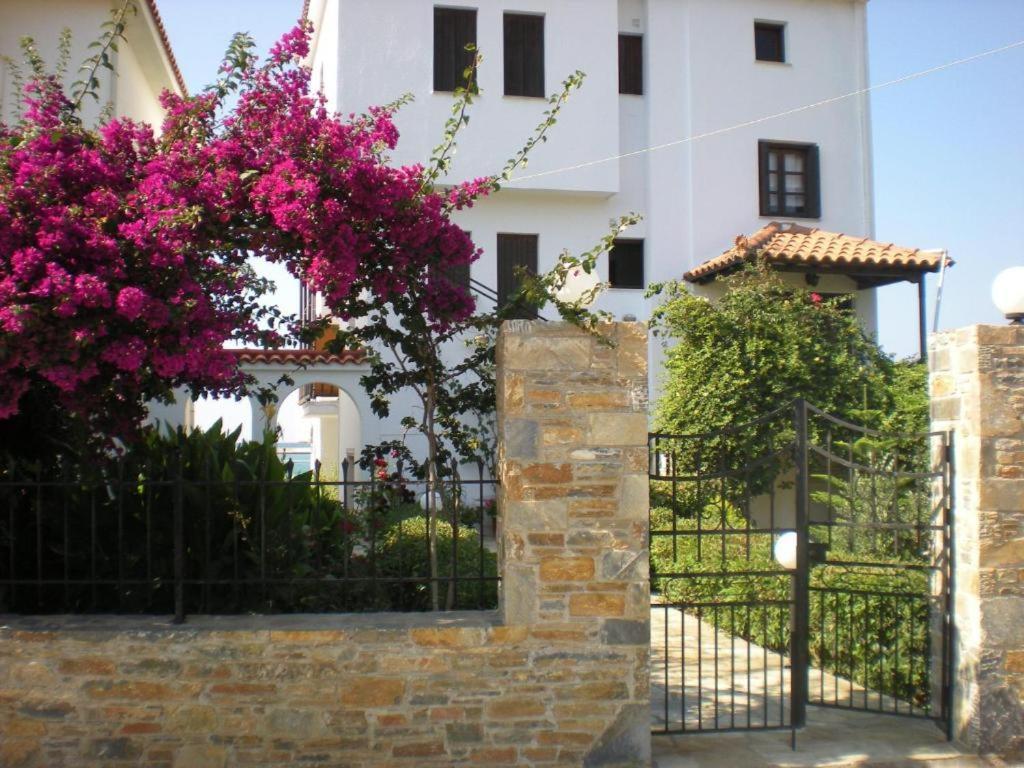 Nikolaos Studios Apartments スコペロス エクステリア 写真
