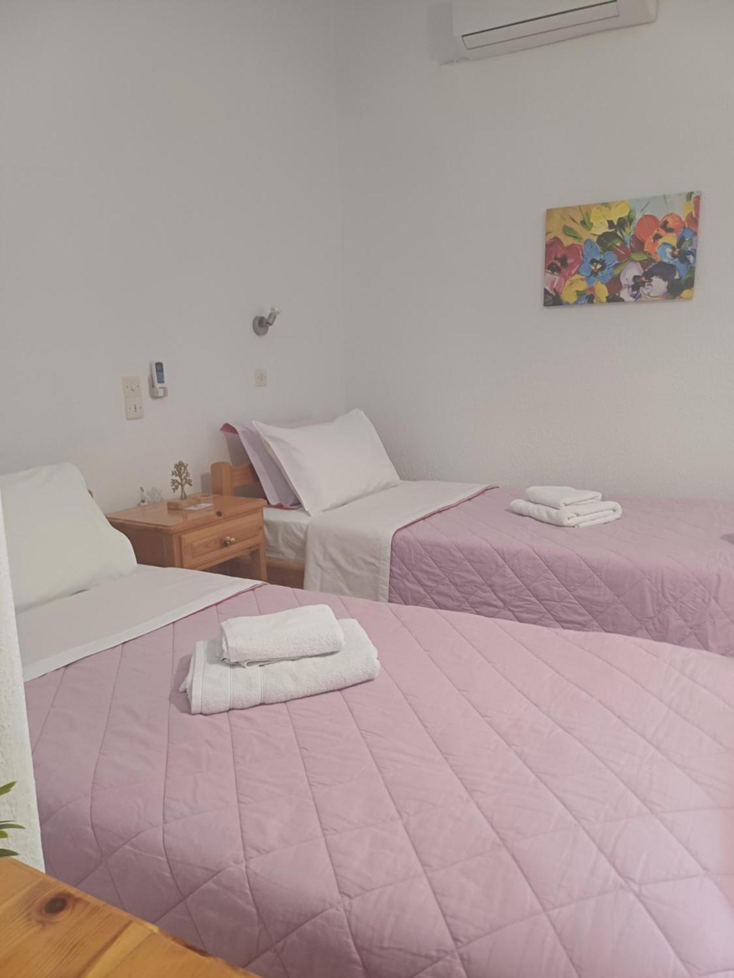 Nikolaos Studios Apartments スコペロス エクステリア 写真